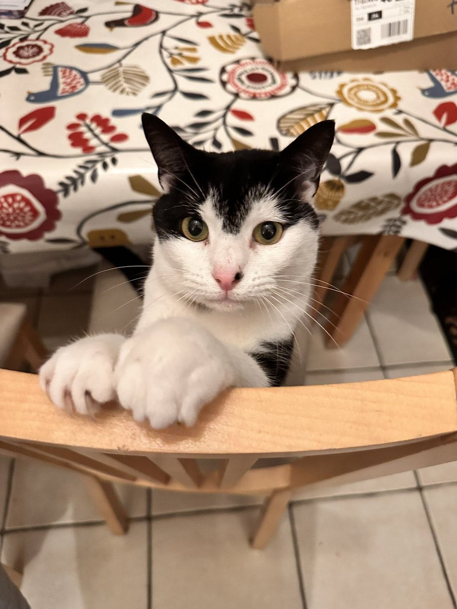 Weirdly even older fan tweet media