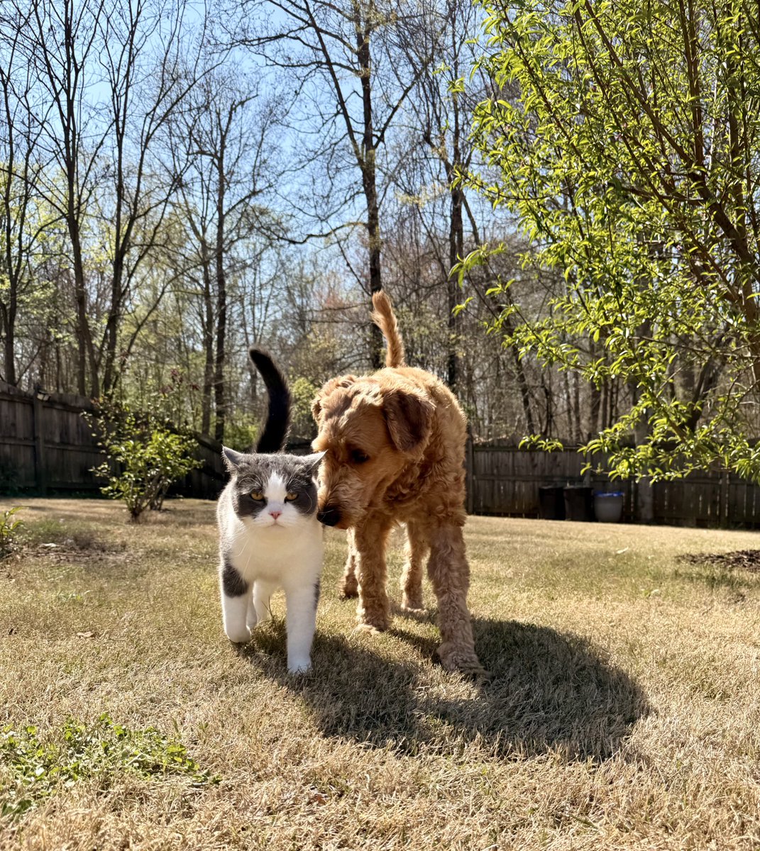 Ruby 🇺🇸 tweet media