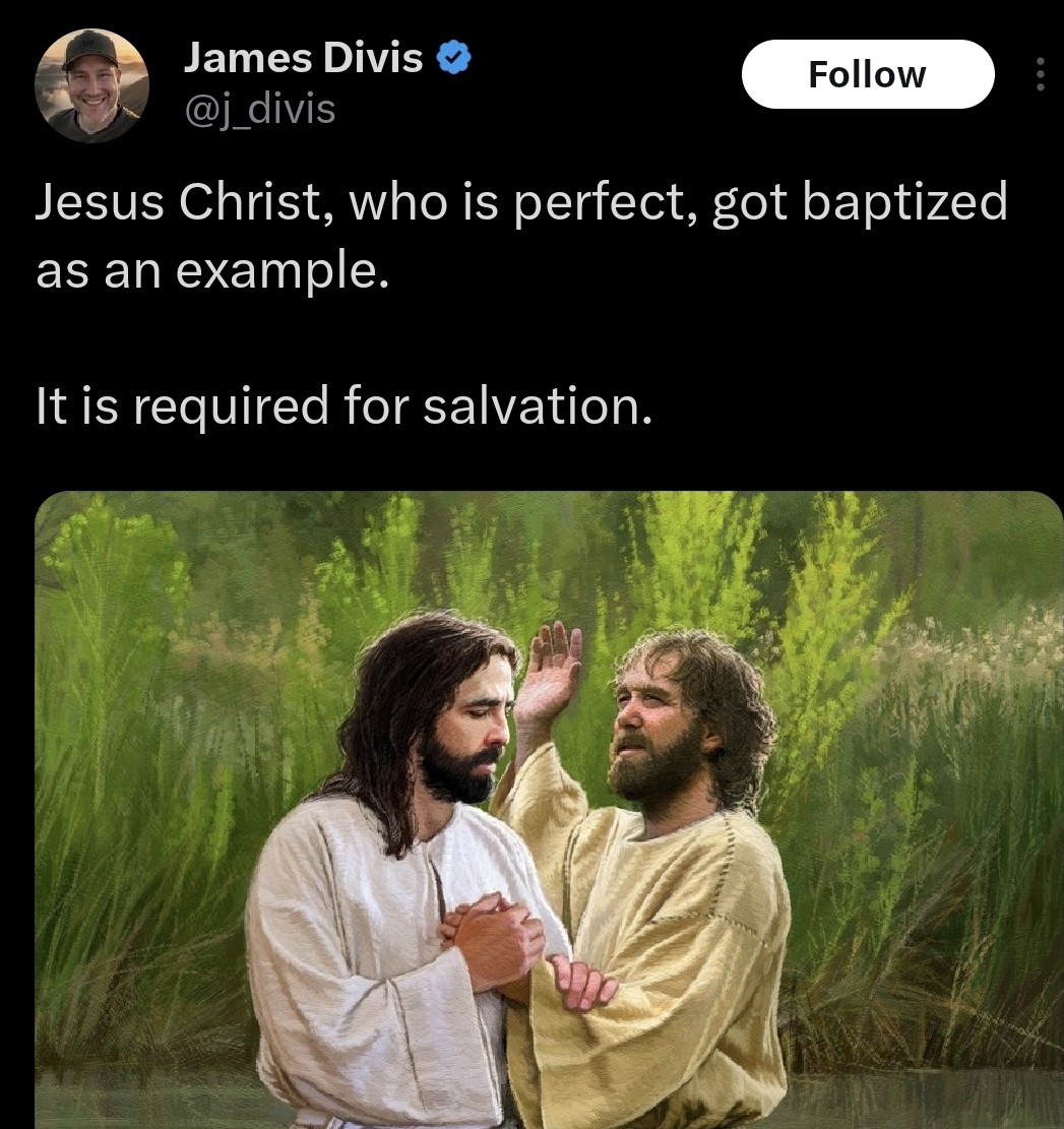 PetGorilla tweet media