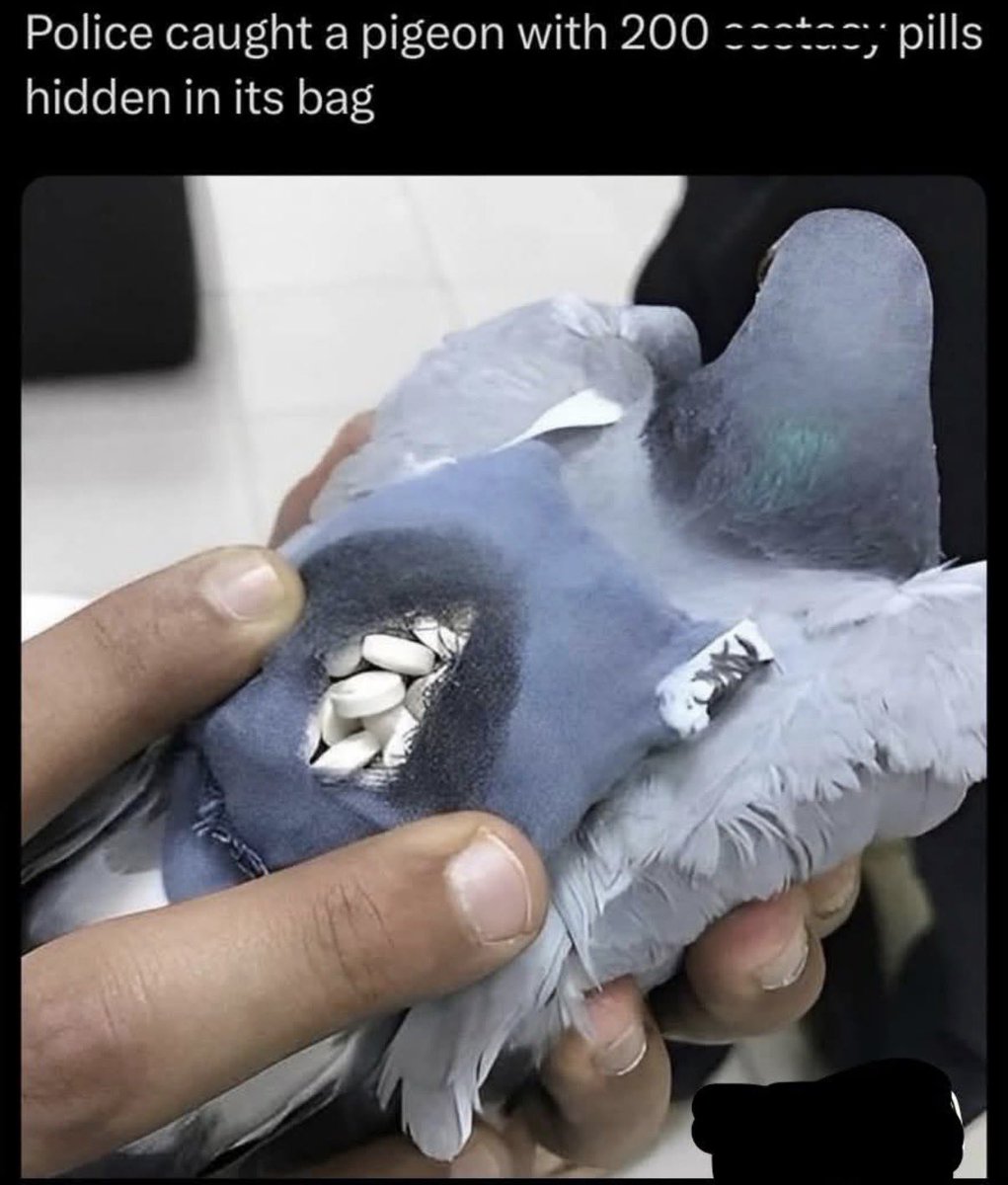 Hazel Appleyard tweet media