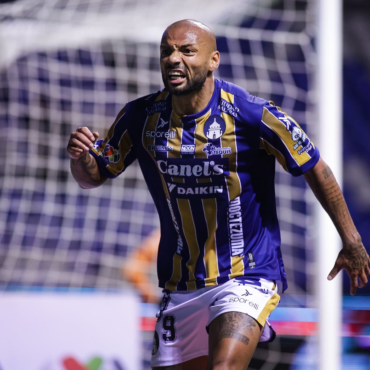 𝐬𝐚𝐮𝐥 🇧🇷 tweet media