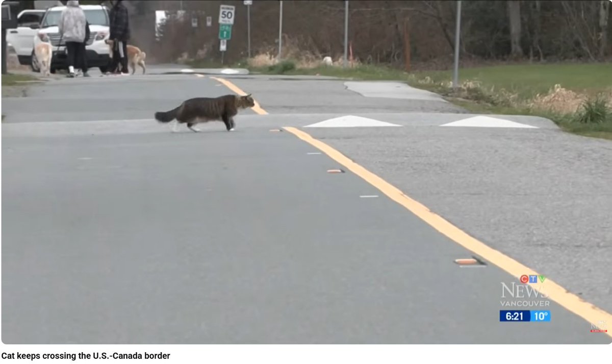 🔥JUAN🔥 tweet media