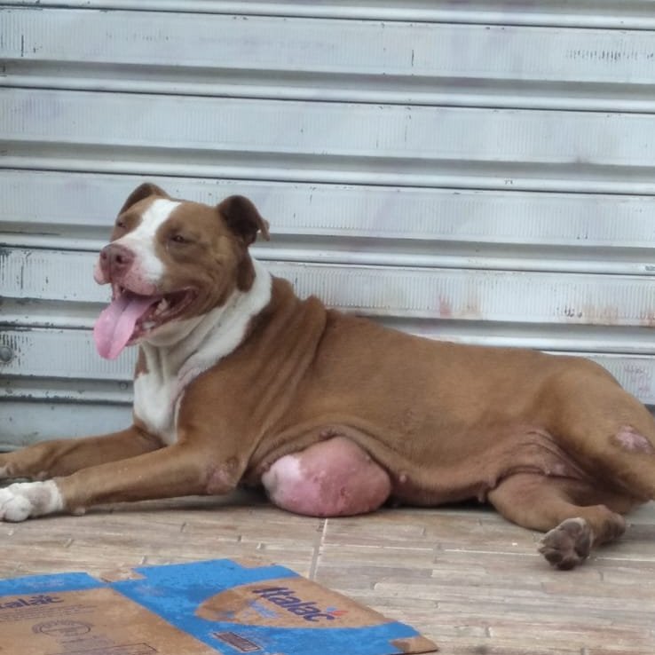 𝒏 𝒂 𝒍 𝒐 🐝 tweet media