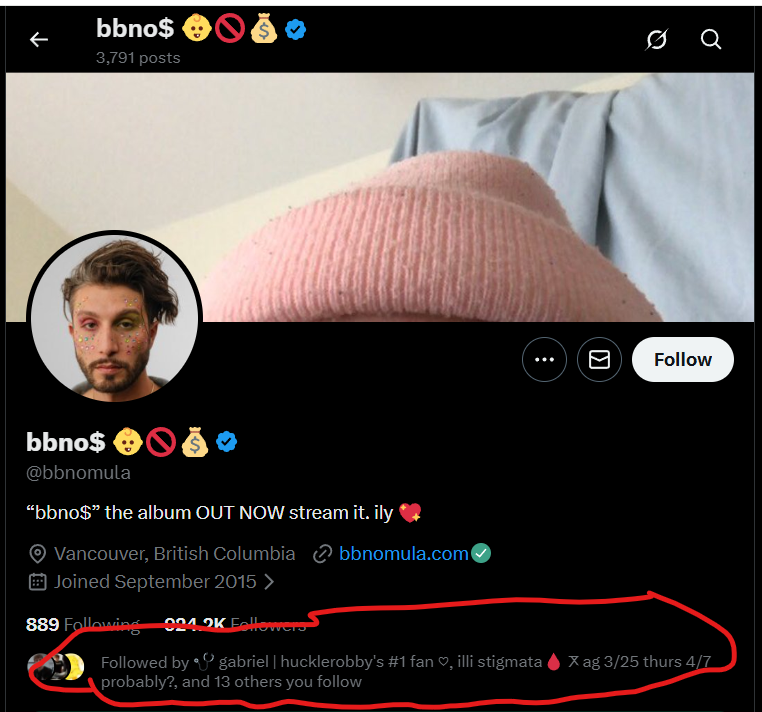 𝜗𝜚 ˚࿔ NIAMH | MRCLDN!! tweet media