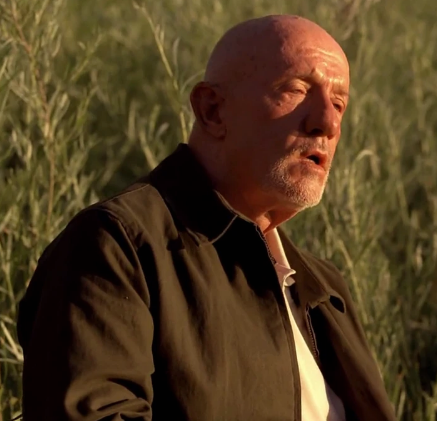 FreshPrinceOfBellend tweet media