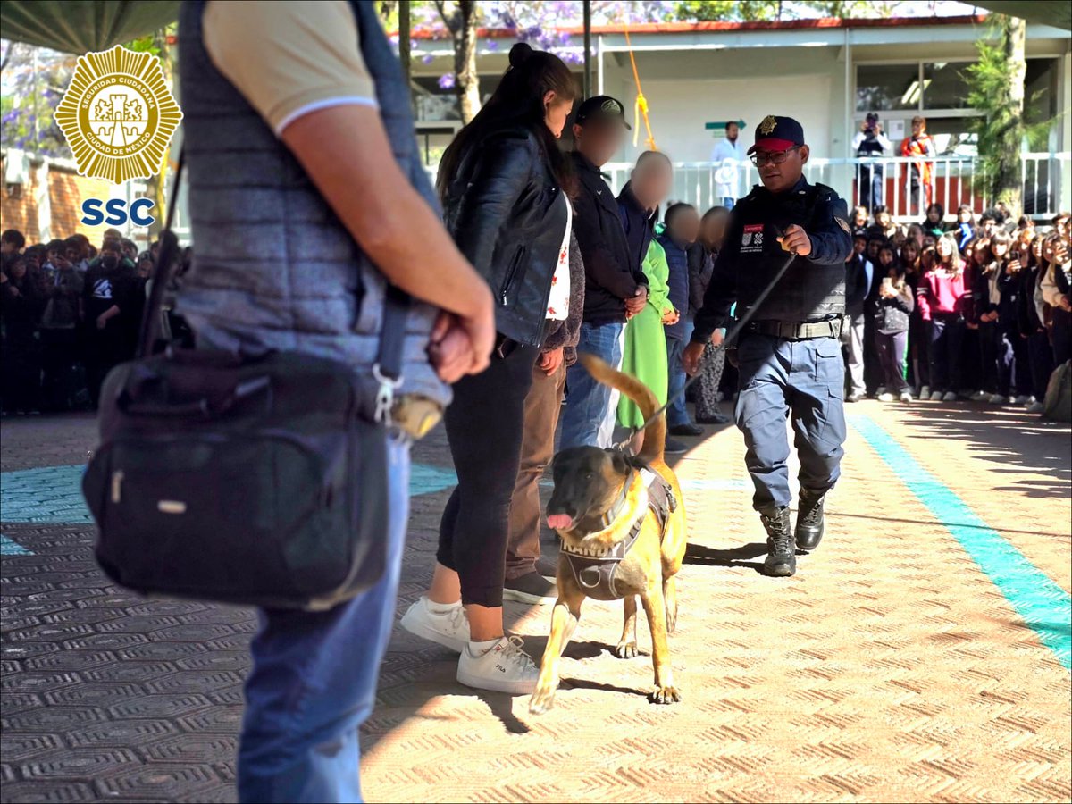 PBI_SSC's tweet photo. La #PBI de la @SSC_CDMX participó en la #FeriaDeSeguridad en el @CONALEP_Mex plantel Tlalpan II, ubicado en @TlalpanAl. Durante la jornada el personal instaló un #StandInformativo en el que orientaron a las y los jóvenes sobre la prevención del delito y el fortalecimiento de la cultura de la seguridad. 

De igual forma, la #UnidadCanina realizó una exhibición en donde #Randy mostró sus habilidades y las labores que realiza para promover entornos seguros.