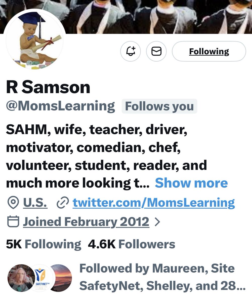 Turquoise Cat tweet media