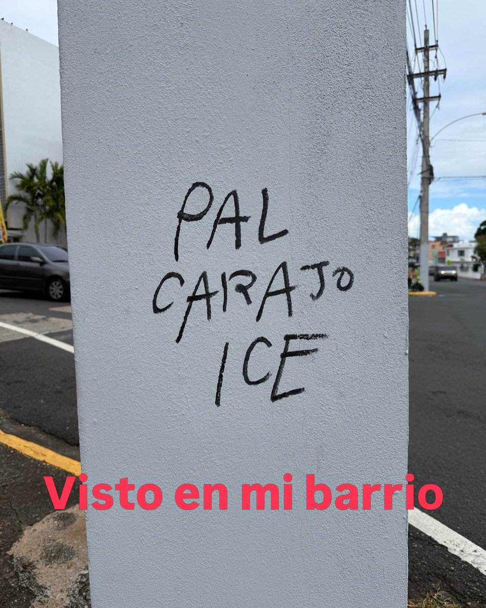 Johanna Rosaly tweet media