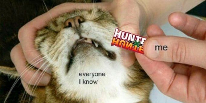 Hunter x Hunter tweet media