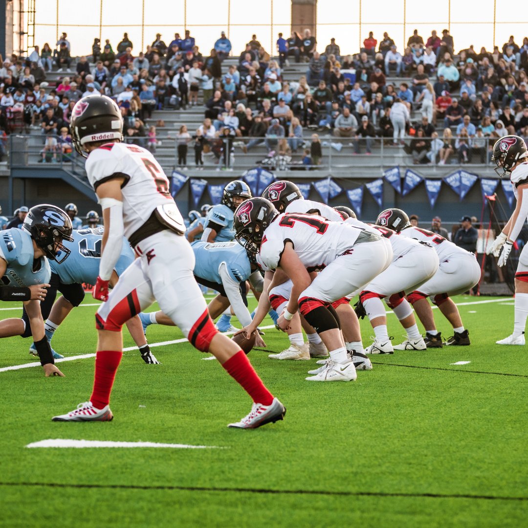 Bison, Inc. tweet media