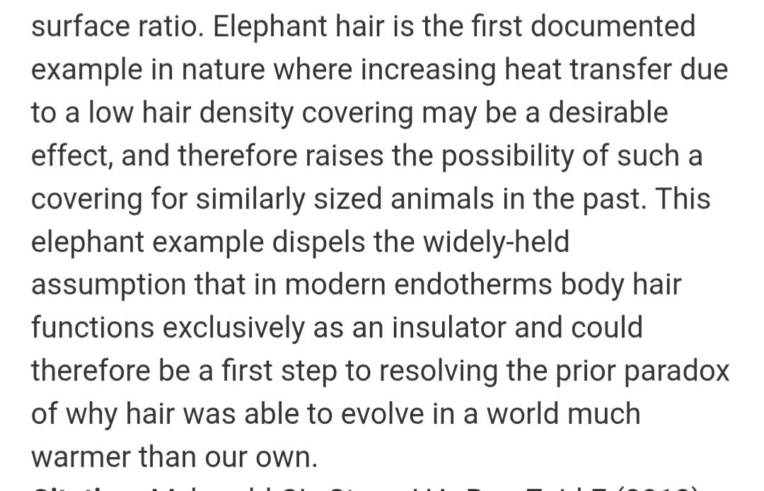 Michael Deak tweet media