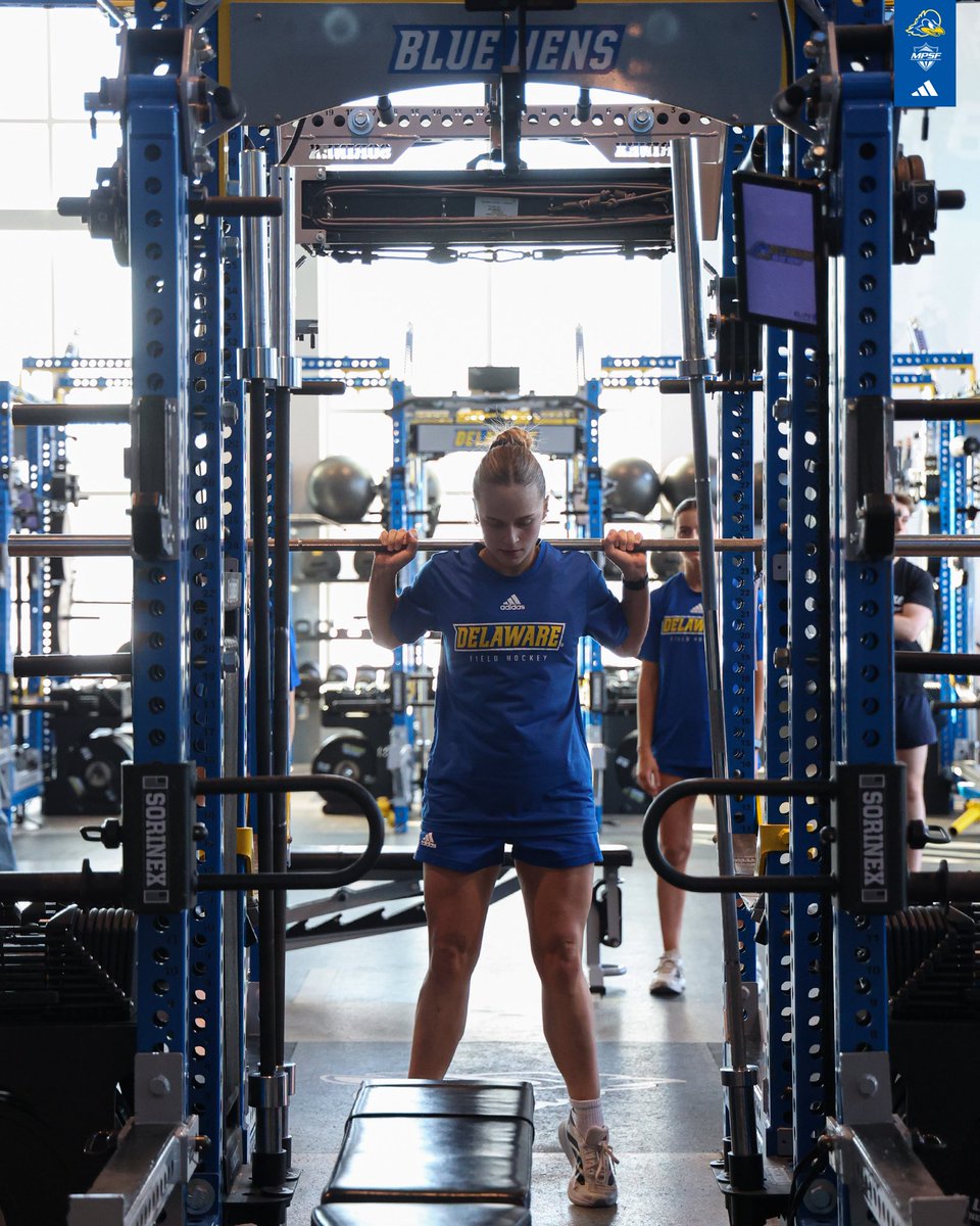 Delaware Field Hockey tweet media