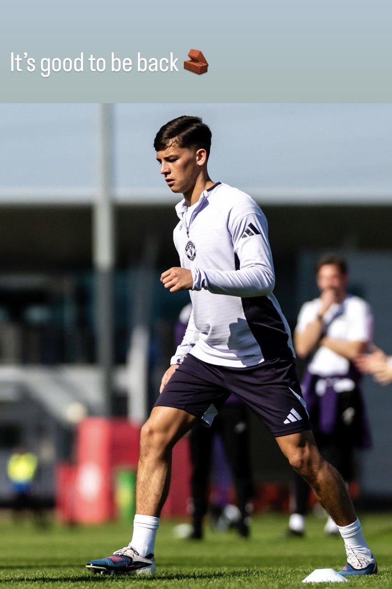 RedDevils_PL tweet media