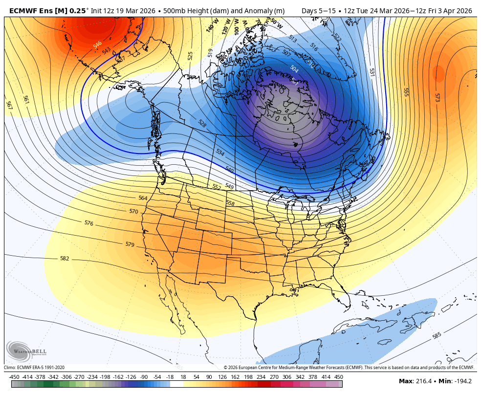 Mitch West tweet media