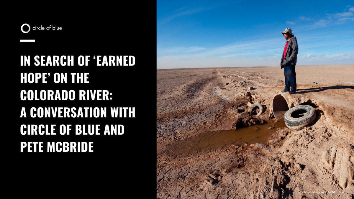 Circle of Blue tweet media