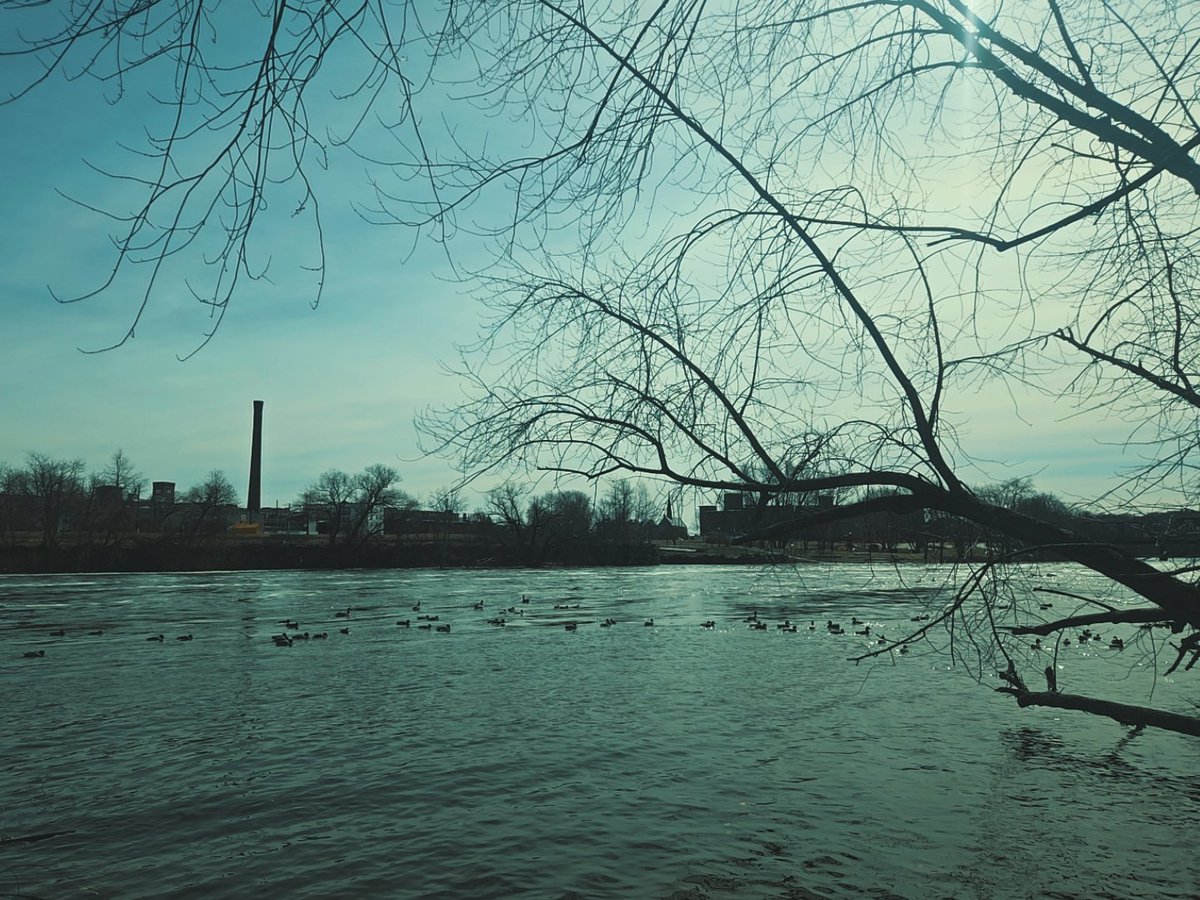 Xander ✝️ 🇵🇸 tweet media