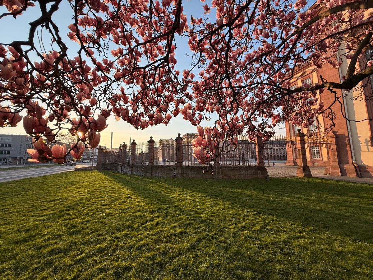 Dr. H 📯 tweet media