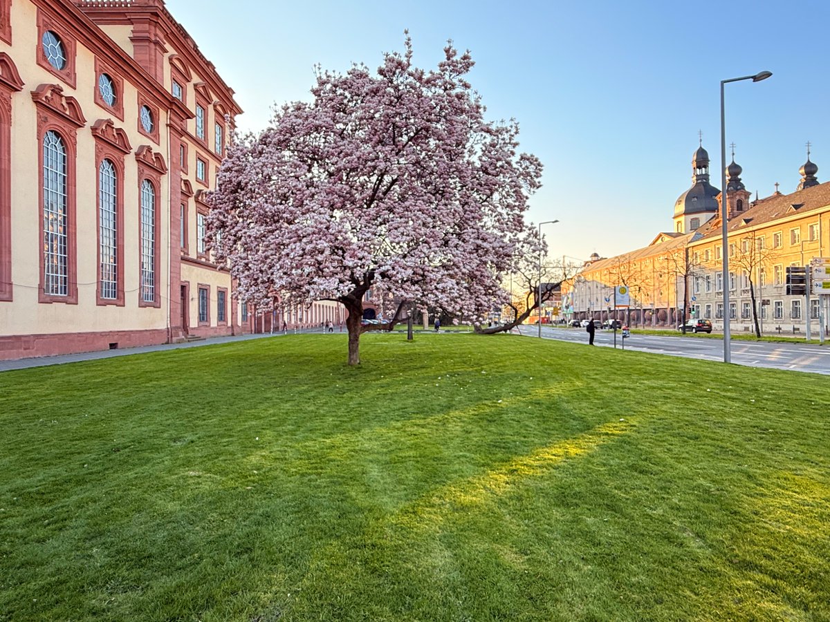 Dr. H 📯 tweet media