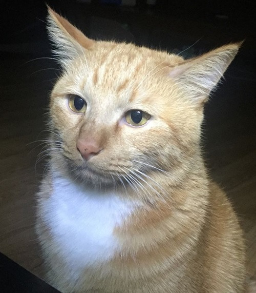 악당수업 tweet media