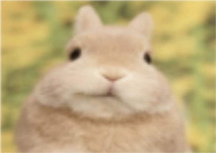 moosey!!⁷² tweet media