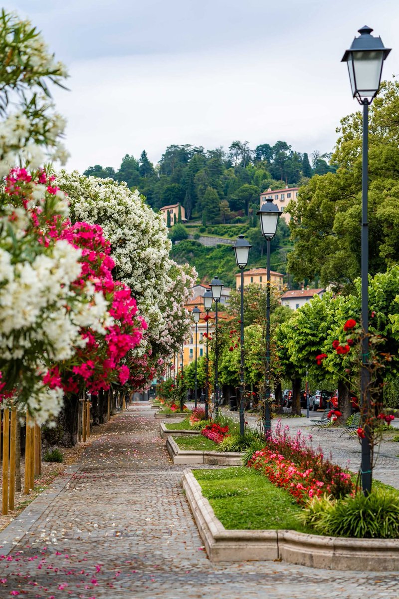 Pretty Cities tweet media