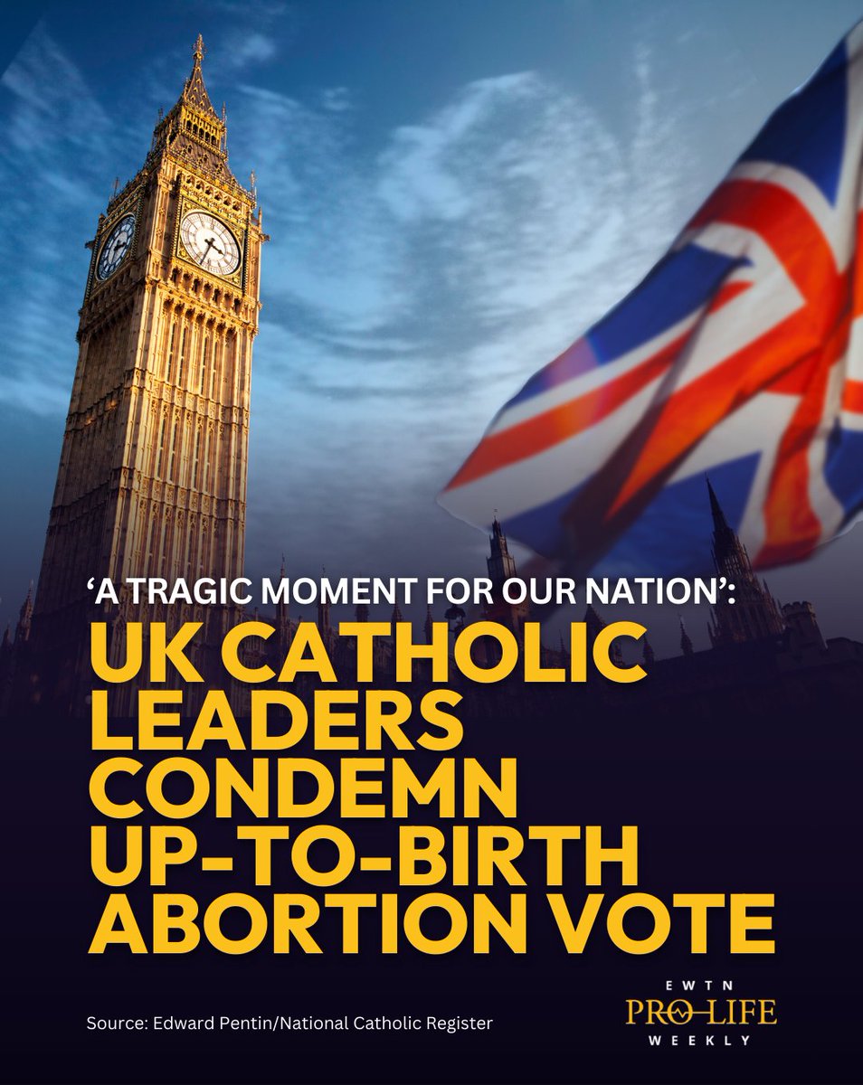 EWTN Pro-Life Weekly tweet media