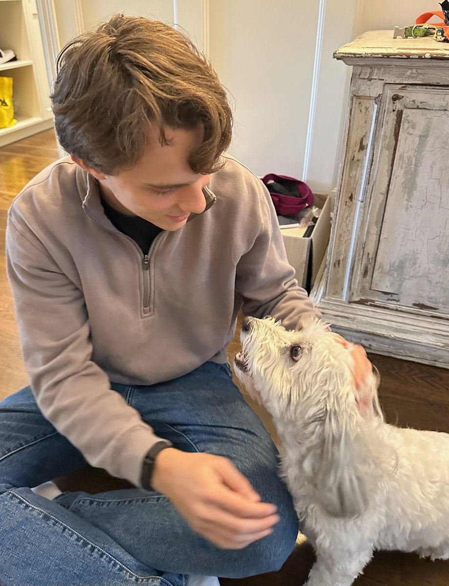 Oscar Piastri tweet media