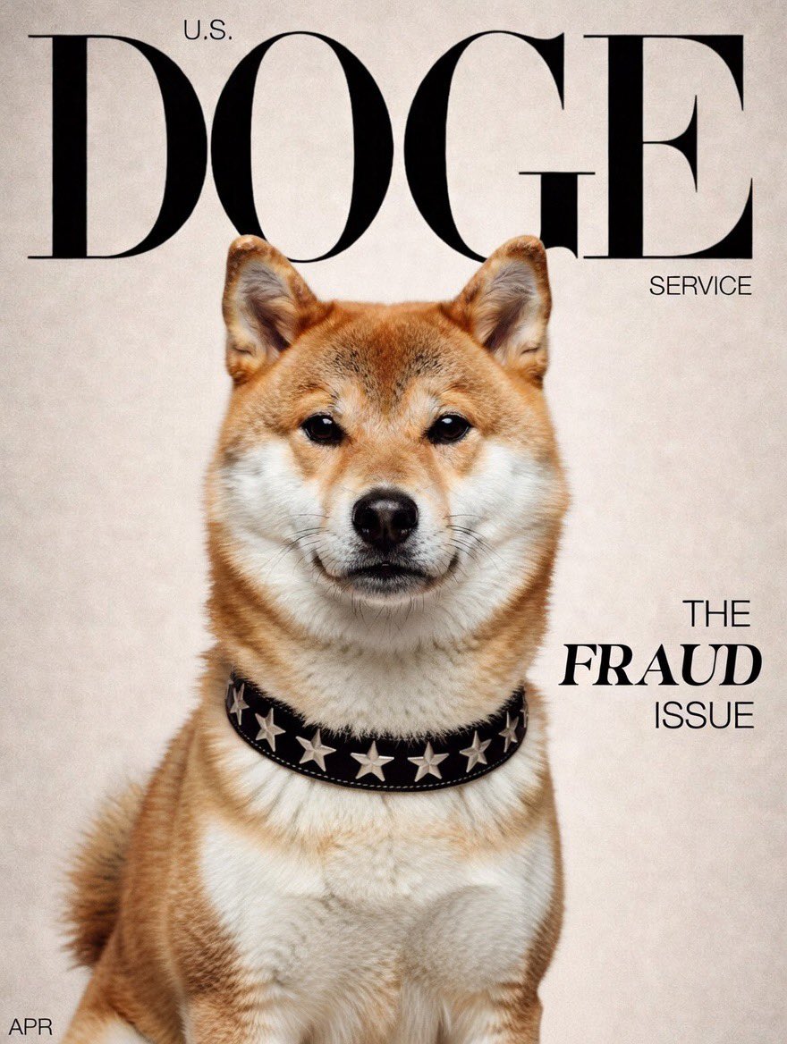 The Dutch Doge Guy 🐕 tweet media