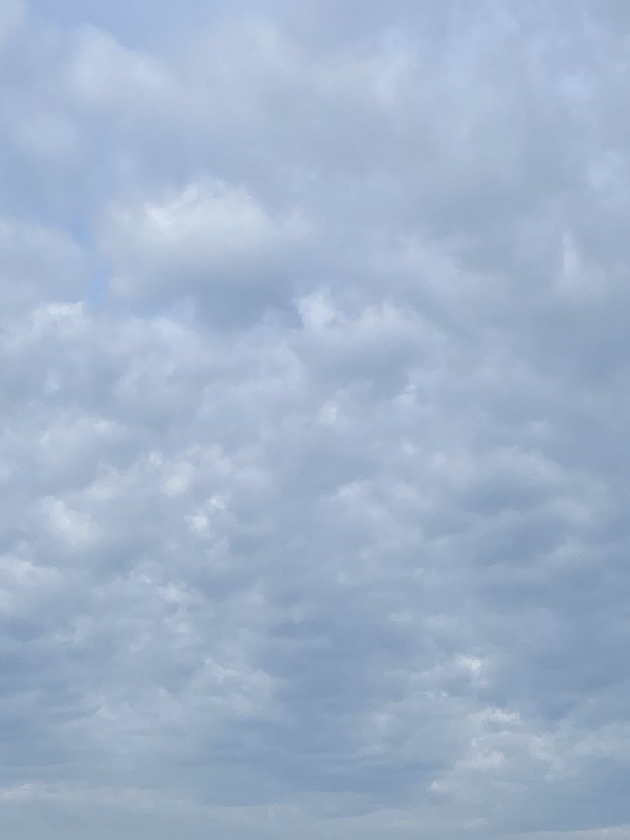 Mark Munch Bishop tweet media