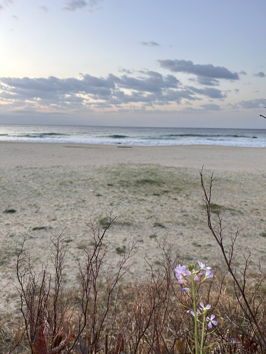 5Ax TAKABE tweet media