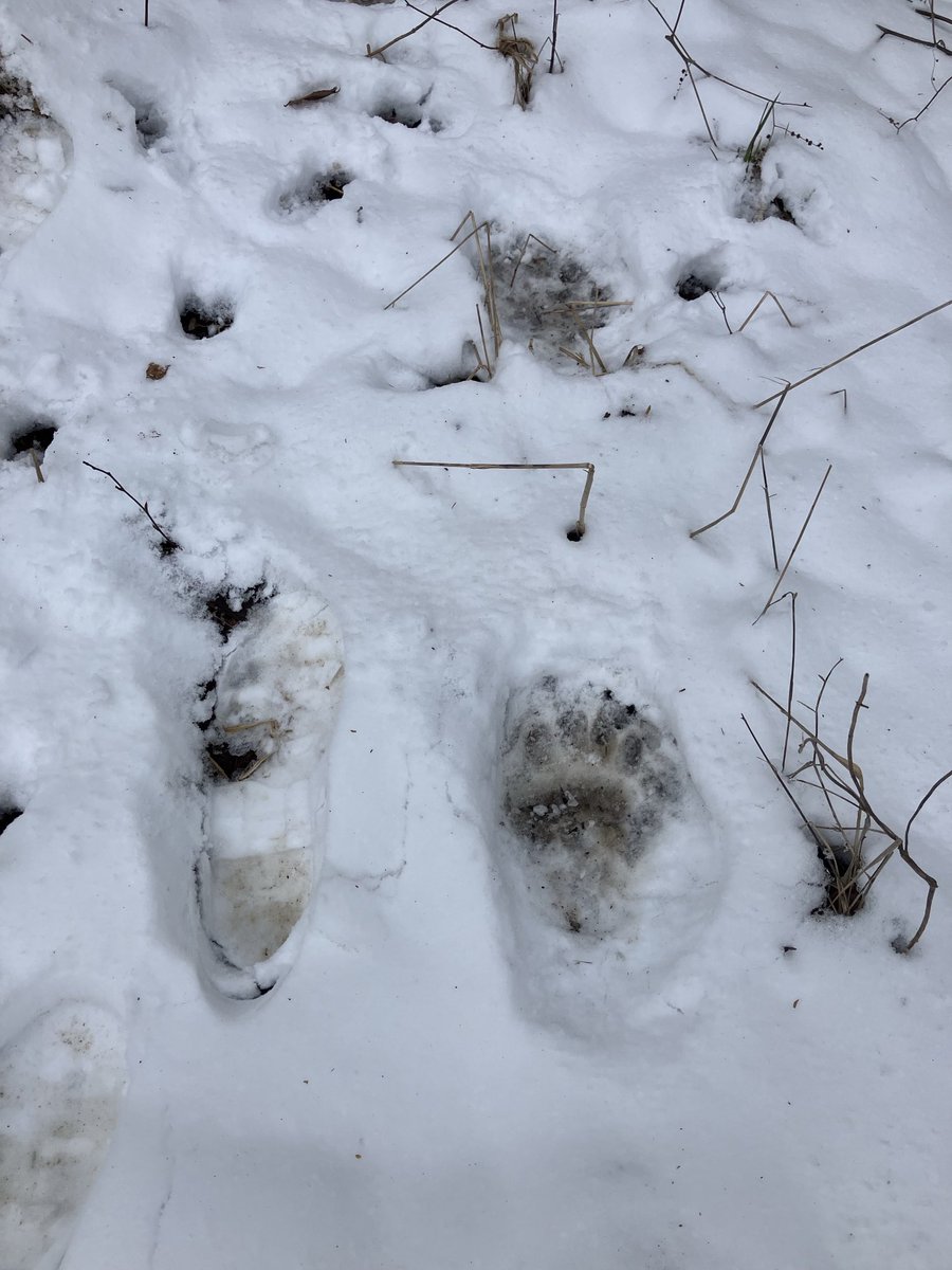 Andy Whitcomb tweet media