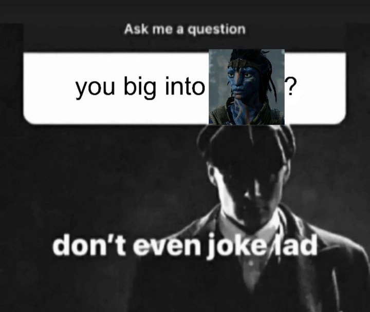 iris 🌙 tweet media