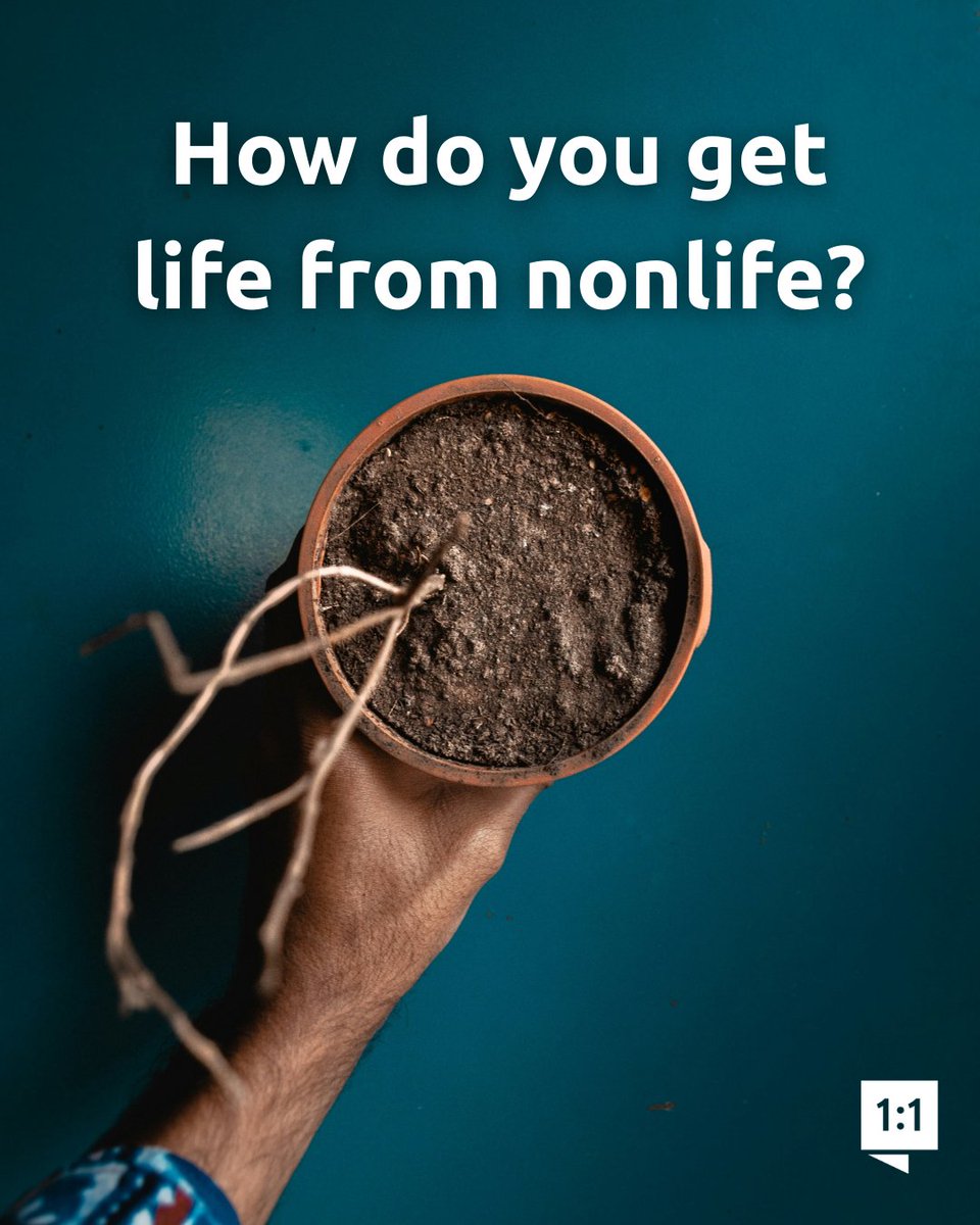 Answers in Genesis tweet media