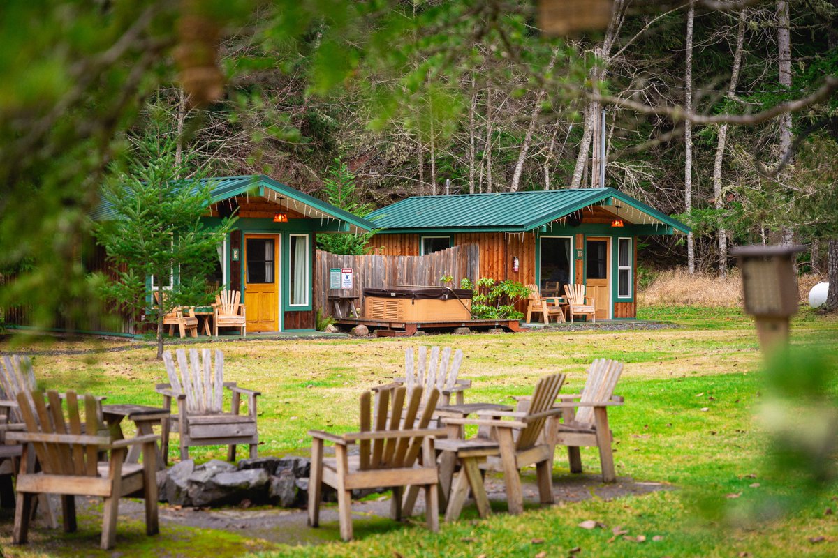 Visit Rainier tweet media