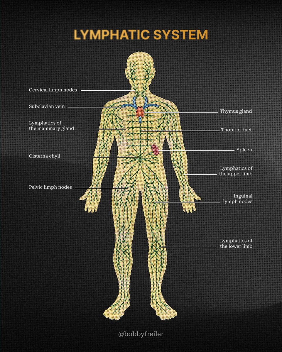 Bobby Freiler tweet media