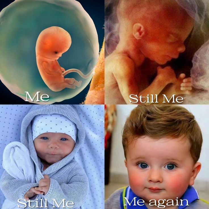 Stop Abortion Now tweet media