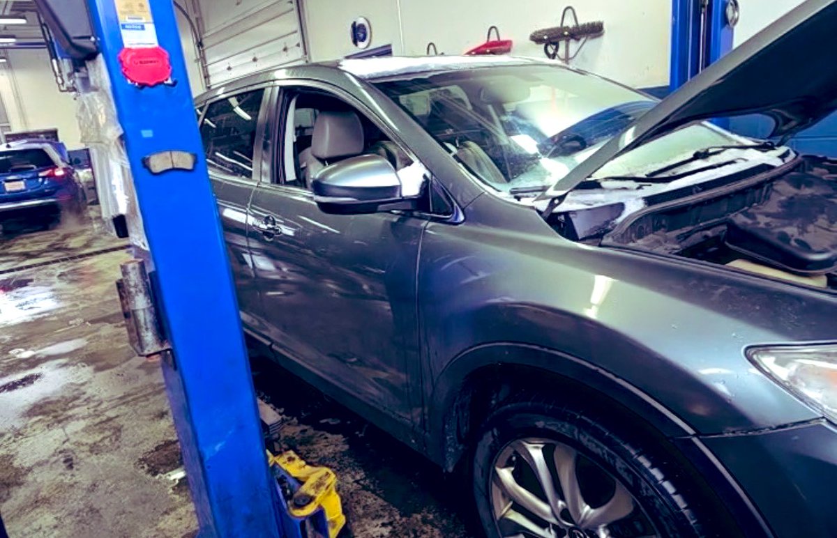 Whitney Grenaway tweet media