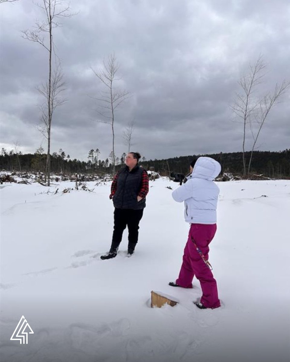 Forests Canada tweet media