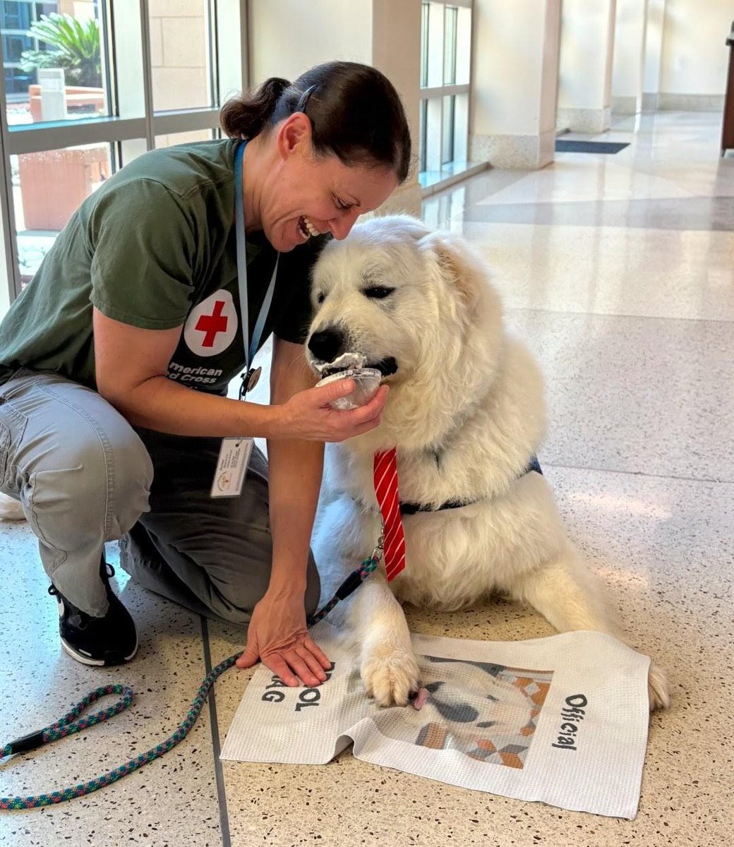 American Red Cross tweet media