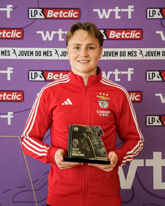 O Guerreiro da Luz tweet media