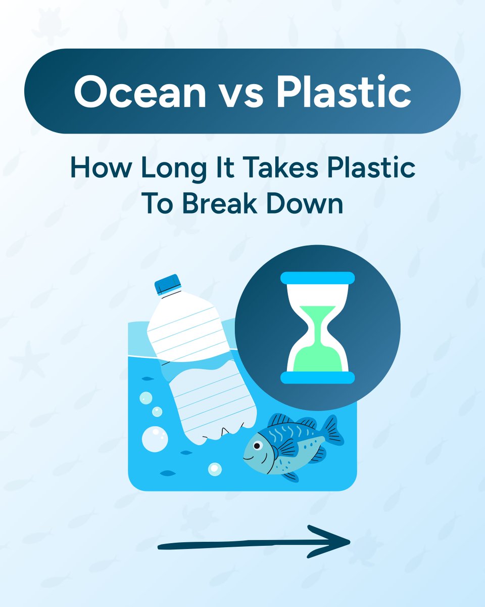 Wave Browser tweet media