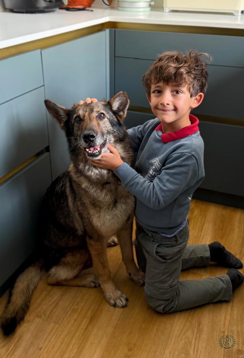 BENEMERITVM tweet media