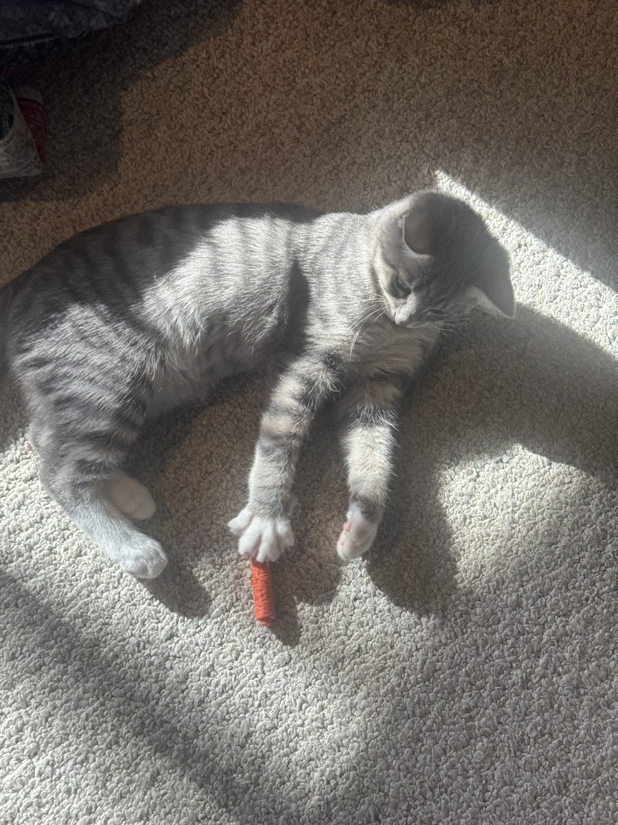 TiNa ⭐️ tweet media