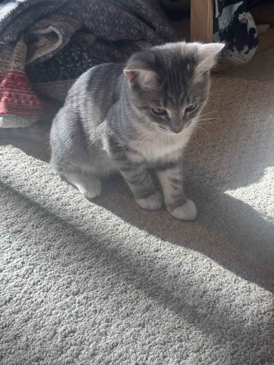 TiNa ⭐️ tweet media