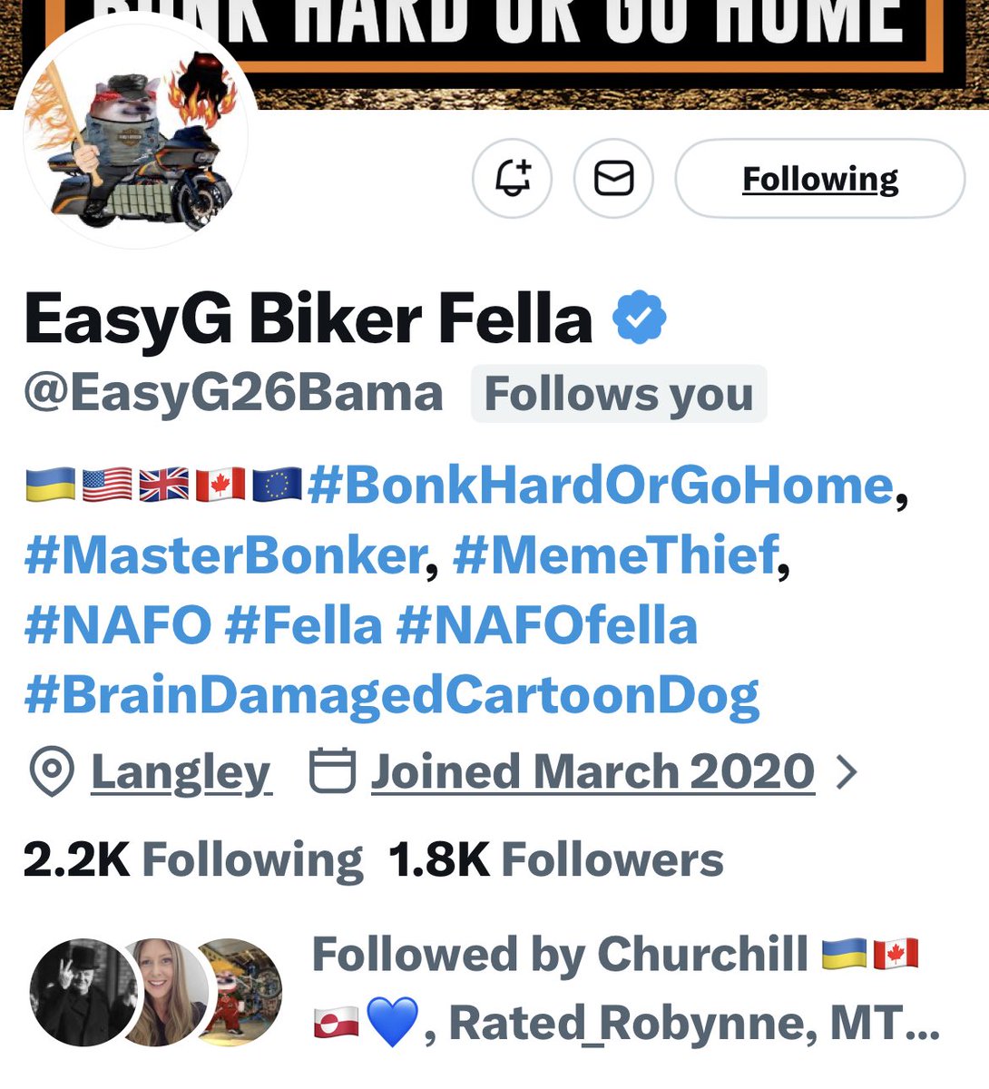 Turquoise Cat tweet media