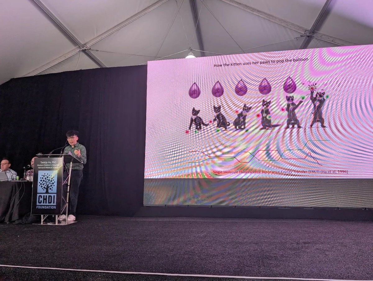 HDSA San Francisco Bay Area Chapter tweet media