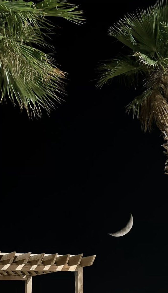 ناصر بن يحيى tweet media