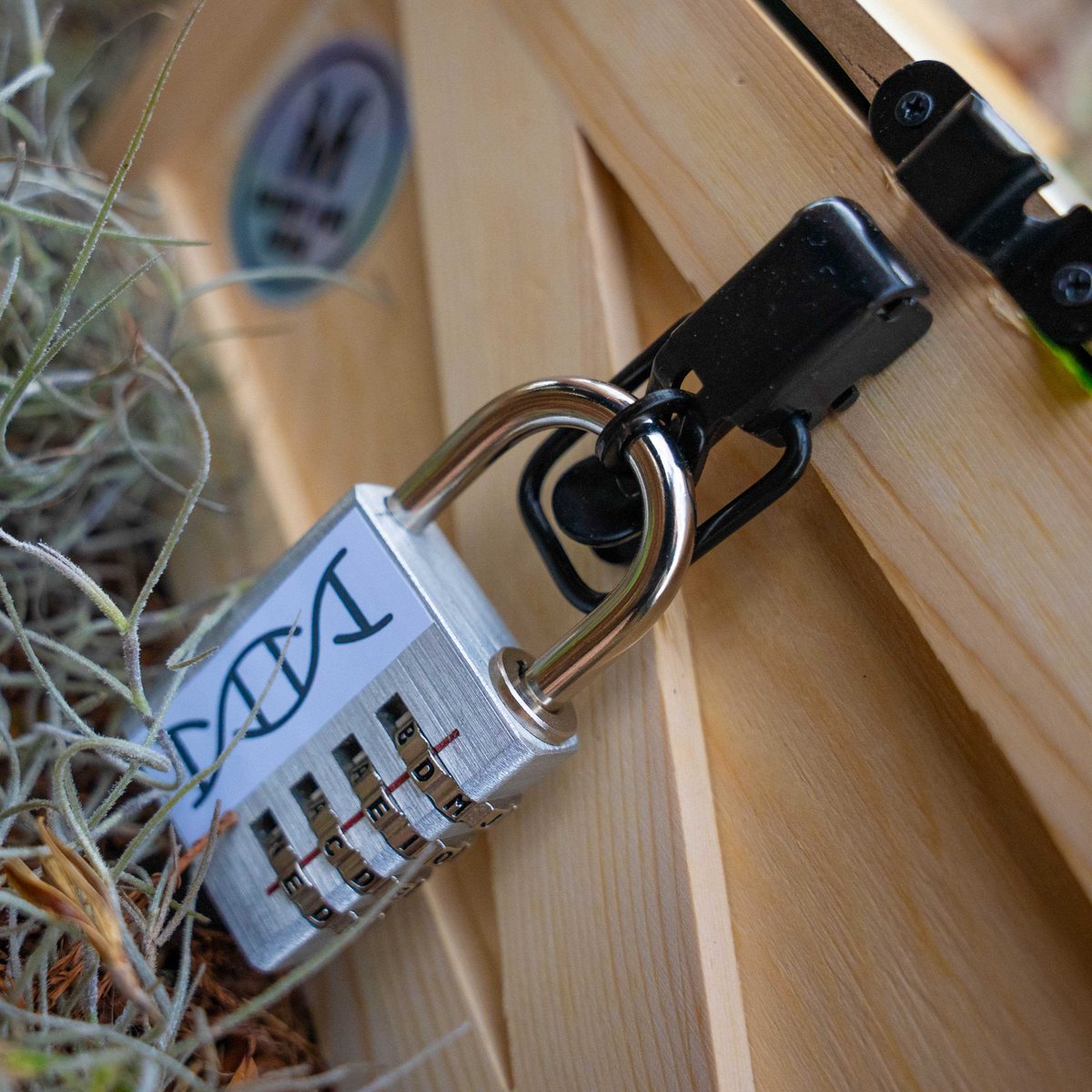 Megaplex tweet media