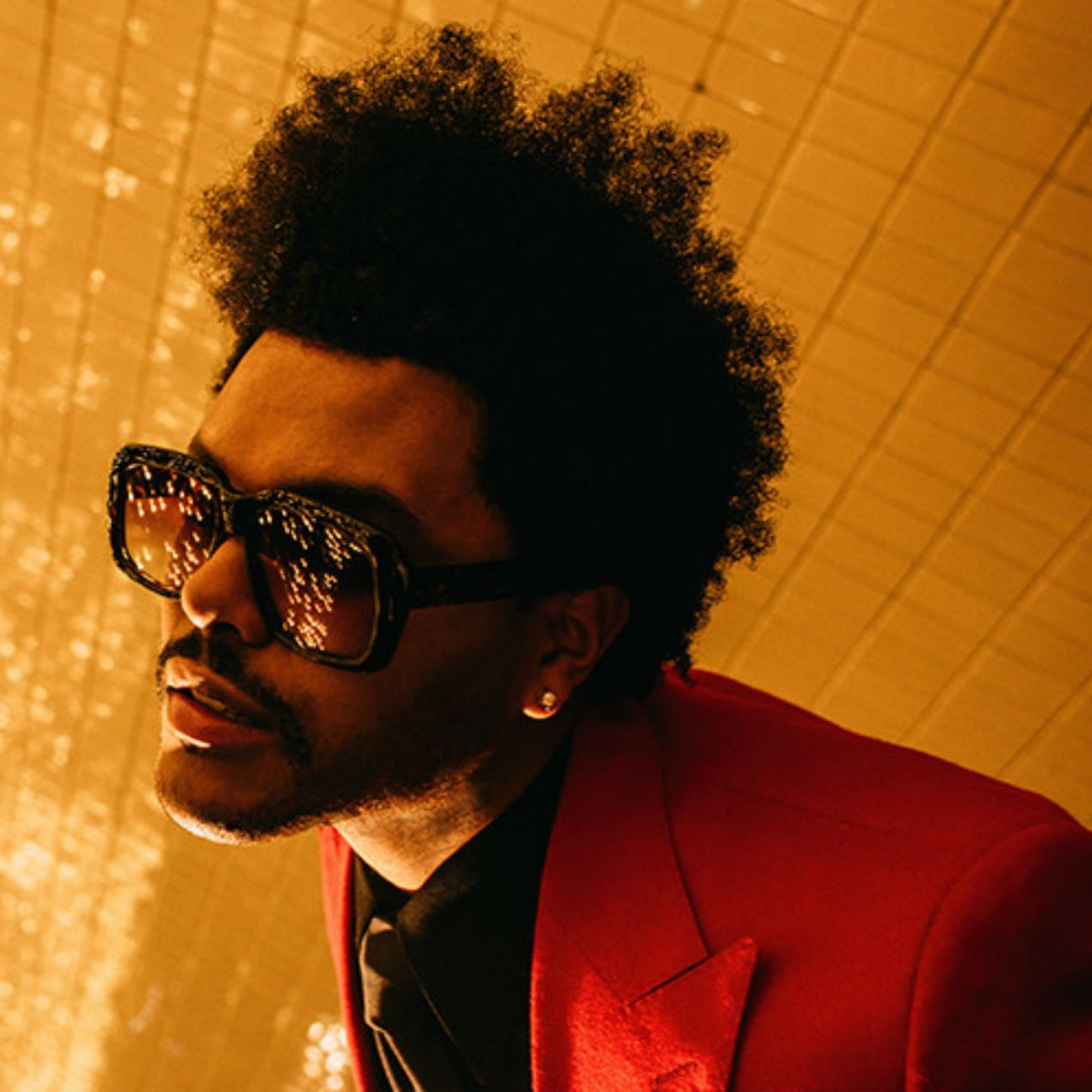 Pop Tingz tweet media