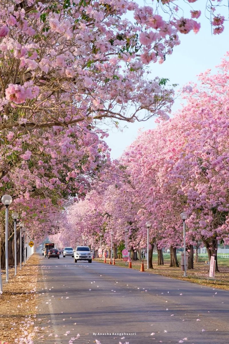 inspéra tweet media